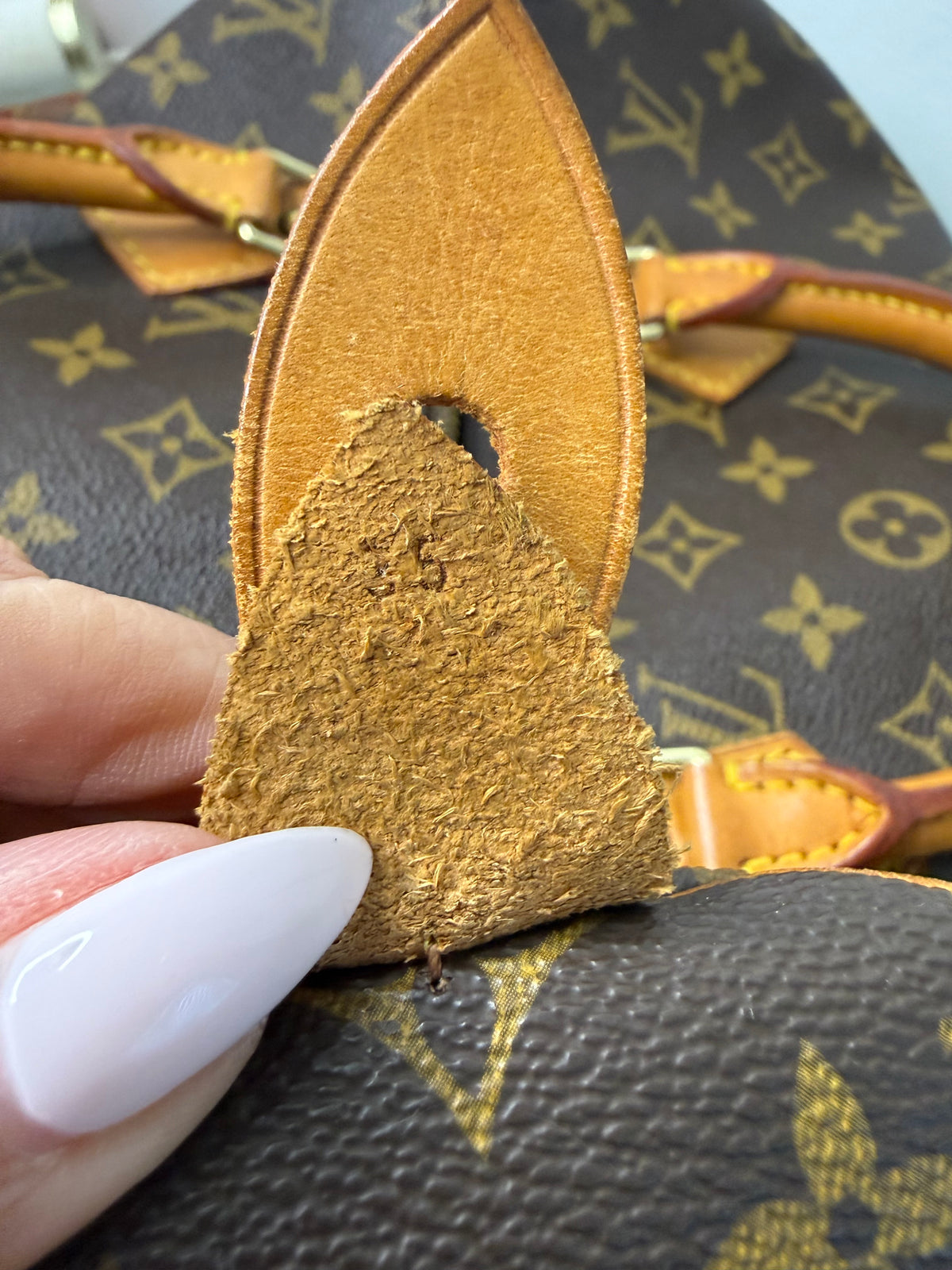 Louis Vuitton Monogram Speedy 35